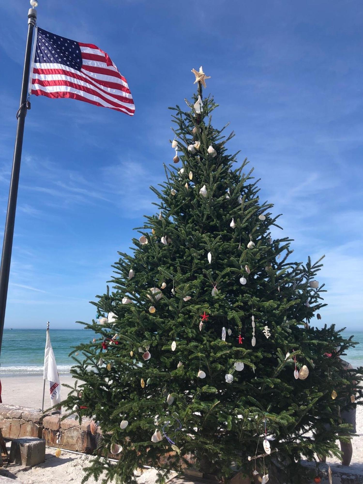Sarasota -Walk To Siesta Key Beach Экстерьер фото